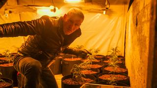 Inside the Grow Houses Inside the Grow Houses