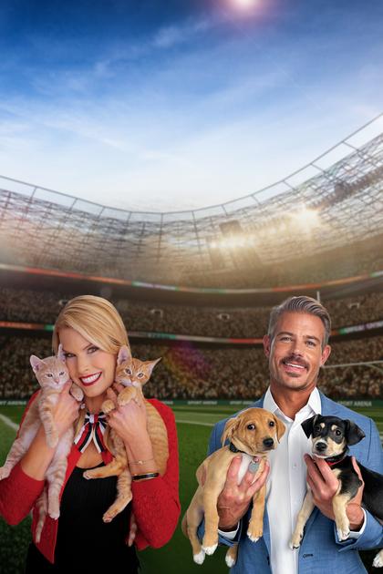 Great American Rescue Bowl