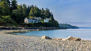 Beachfront Bargain Hunt: Renovation