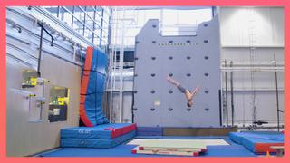 Alegría - In A New Light Powertrack Alegría - In A New Light Powertrack