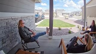 Animal House Animal House