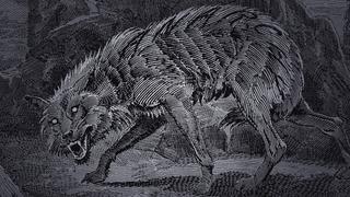 Louisiana's Werewolf: The Rougarou Louisiana's Werewolf: The Rougarou