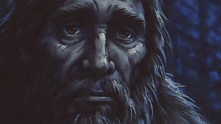 Boojum: Great Smoky Mountains National Park Boojum: Great Smoky Mountains National Park