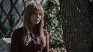 The Denny's Plan The Denny's Plan