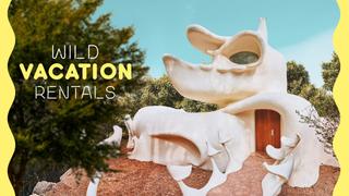  watch Wild Vacation Rentals