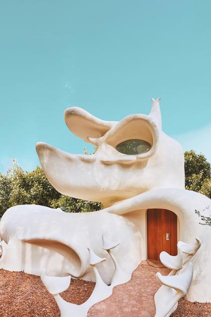 Wild Vacation Rentals