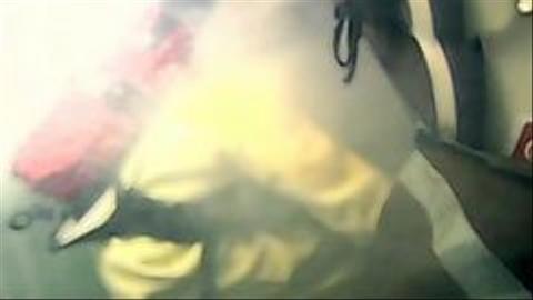 Nuclear Sub; Crash Test Dummies; Fruit and Vegetables