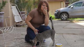 Snorting Cleaner, Chomping Cat Food, Eating Butter