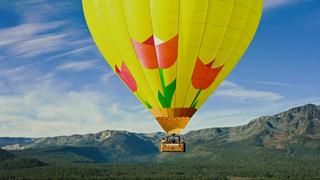 The Answers Are Out Here