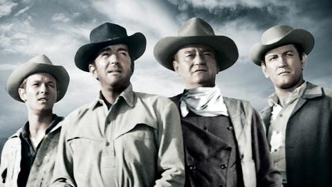 The Sons of Katie Elder