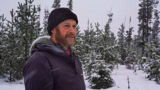 Joel's Winter Joel's Winter