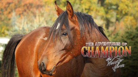 The Adventures of Champion, The Wonder Horse