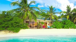 A Leap of Love in Tulum