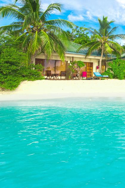 Tropic Like It's Hot