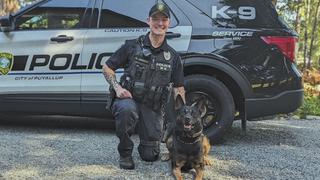 On the Scent On the Scent