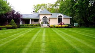 Improve Your Yard & Your Home