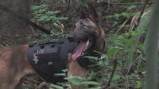 Coming In Hot Coming In Hot