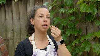 Grilled Flatbreads with Whipped Ricotta Grilled Flatbreads with Whipped Ricotta