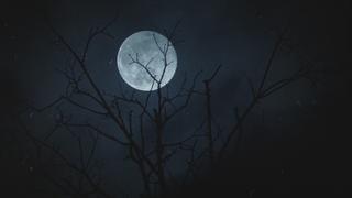 When Darkness Falls When Darkness Falls