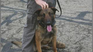 Final Warning Final Warning