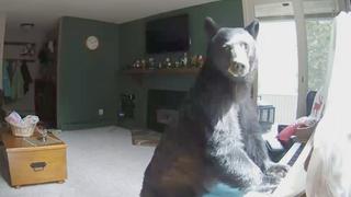 Did That Really Just Happen?