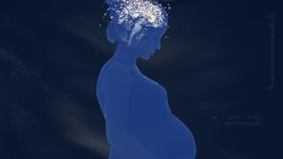 Baby Brain: What's Really Going On?