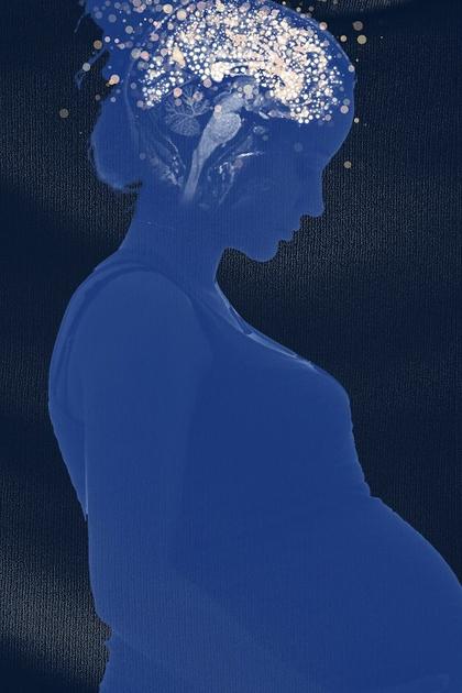 Baby Brain: What's Really Going On?