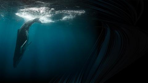 Leviathan: Whale and Man