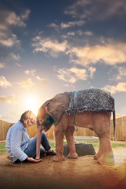 Diary of an Elephant Orphan