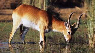 From Pole to Pole From Pole to Pole