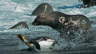 Shallow Seas Shallow Seas