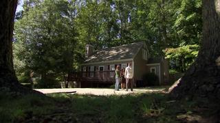 Property Virgins