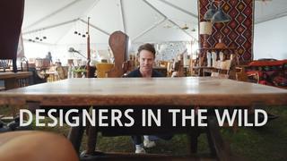 Designers in the Wild