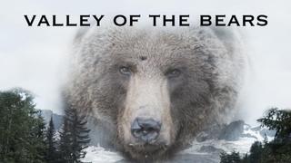  watch Valley of the Bears