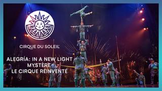 Alegría: In a New Light, Mystère & Le Cirque Réinventé