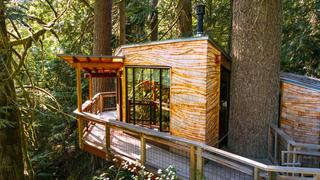 Heights of the Evergreen State Heights of the Evergreen State
