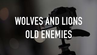  watch Wolves and Lions Old Enemies