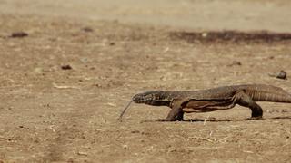 An Eternal Duel An Eternal Duel