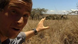African Savannah African Savannah