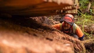The Last Woodsmen