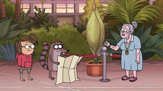 Corpse Flower Corpse Flower