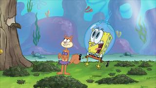 SpongeBob SquarePants