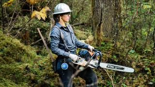 The Last Woodsmen