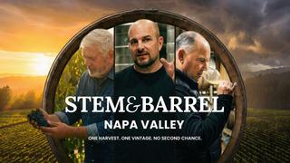 Stem and Barrel: Napa Valley
