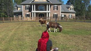 Hostile Horseplay Hostile Horseplay