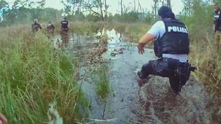 Swamp Patrol