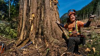 The Last Woodsmen