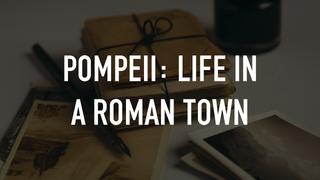 Pompeii: Life in a Roman Town