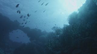 Underwater Alien Bases