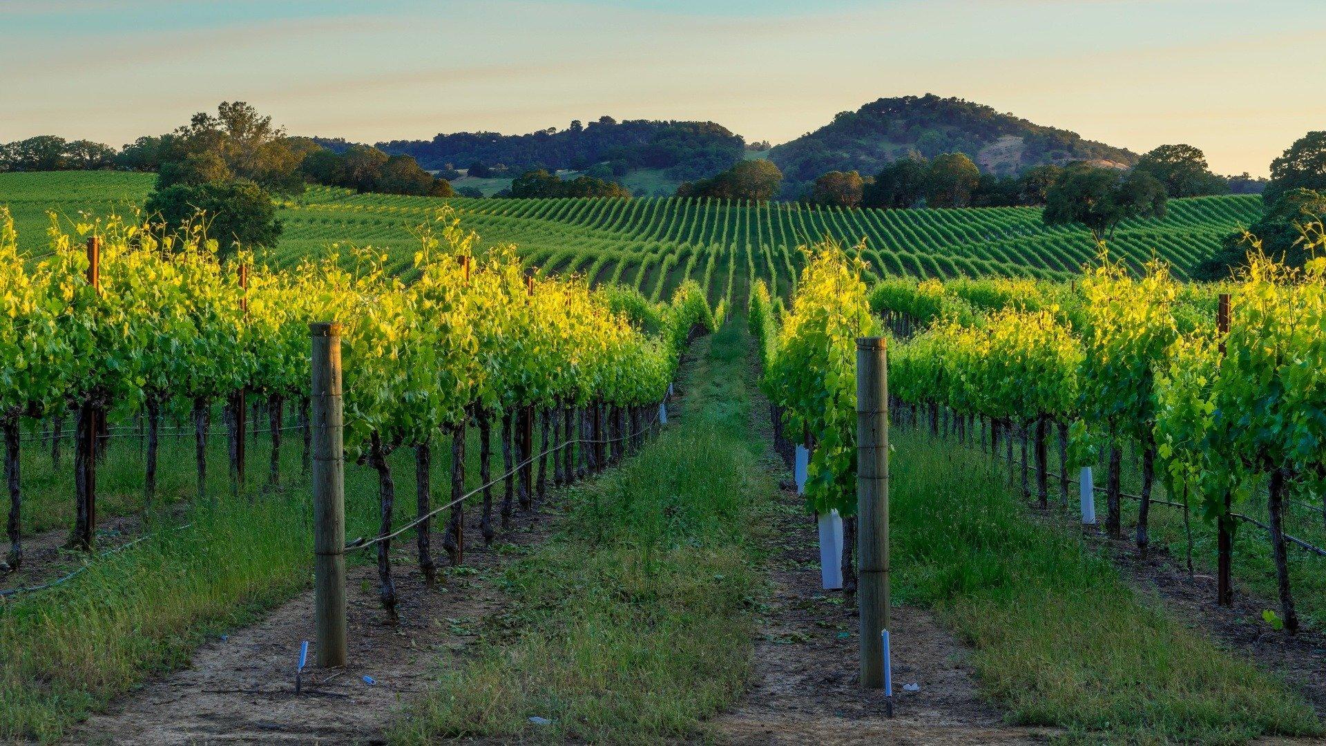 Watch Giada's Weekend Getaways: S1E9 - Napa/Sonoma on Philo (Free Trial)